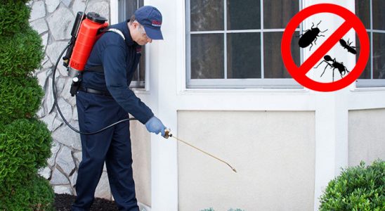 Saruhanlı Uçan Haşere İlaçlama böcek ilaçlama ve haşere kontrolü — ilaclama-tr.com